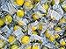 Lemon Candy - 1 lb of Individually Wrapped Sweet Sour Hard Sucking Candy