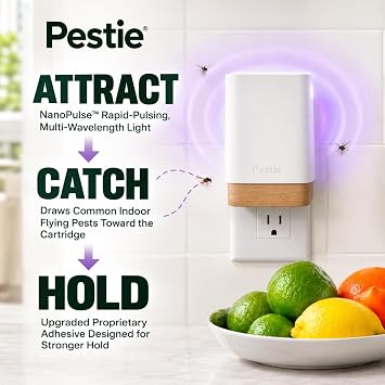 Pestie Fruit Fly Traps for Indoors, Gnat Traps (1 Device, 2 Cartridges)