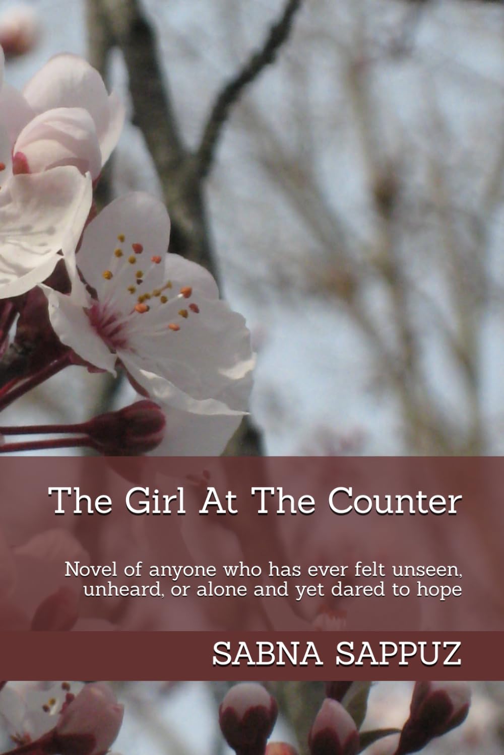 The Girl At The Counter: Novel of anyone who has ever felt unseen, unheard, or alone and yet dared to hope