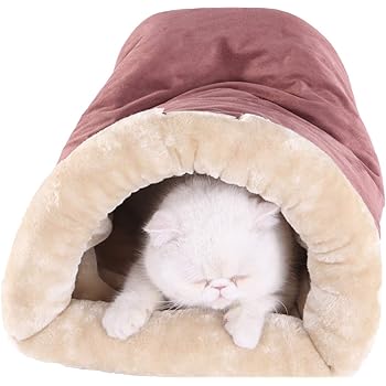 mange on puppies pictures