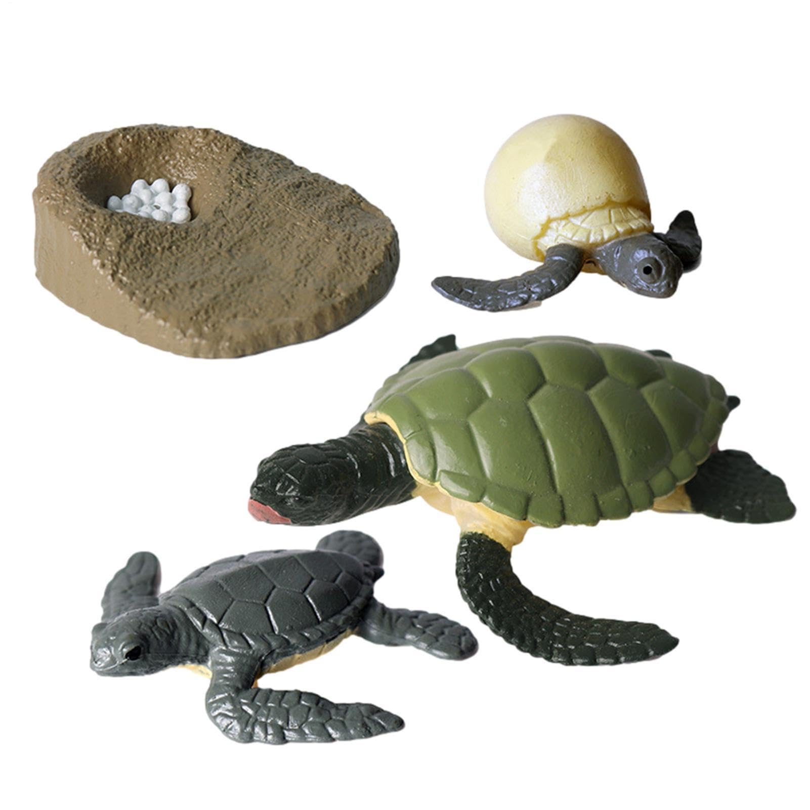 Animal Life Cycle Toys, Tasteless Life Cycle Figurines Set, Moth, Butterfly, Turtle, Ant, Frog Pp Figure Toy Kit For Improving Children's Cognitive Ability