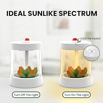 ✨人気商品✨FTOYIN 多肉植物 ナイトライト 快適なナイトライト Amazon.co.jp: FTOYIN 多肉植物 ナイトライト 快適なナイト
