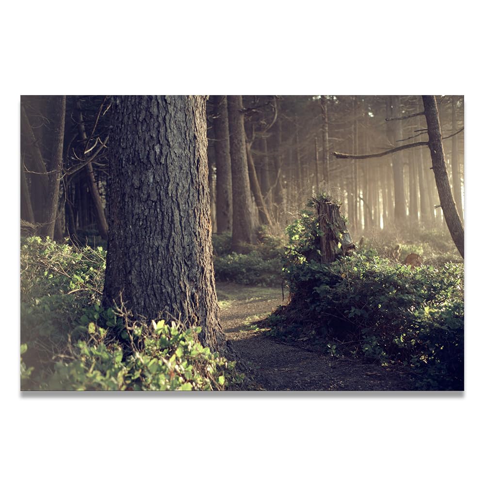 VHdfgTY Thick TreeModern Mountain Landscape Wall Art Canvas Nature Print for Living Room 20x30cm Unframed