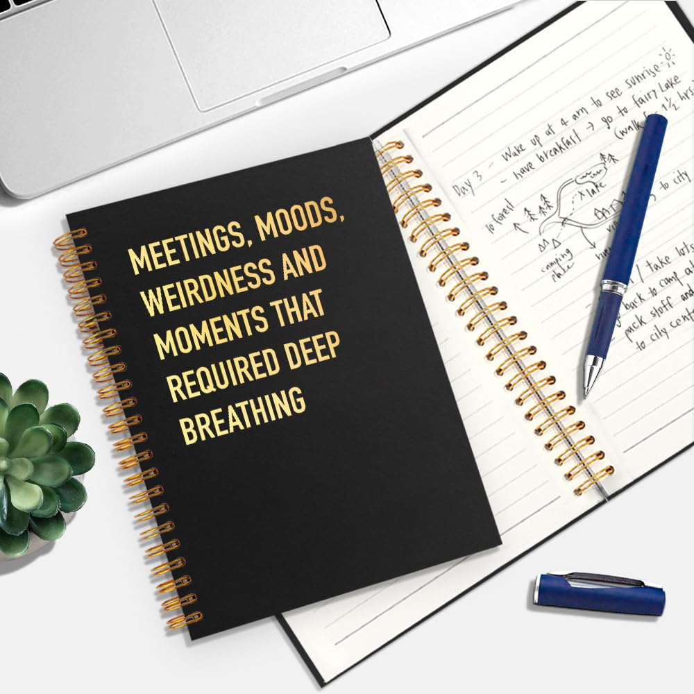 Meetings Moods - Taccuino a spirale a righe, 160 pagine, divertente, con copertina rigida per lavoro, diario di lavoro umoristico per colleghi, regalo sarcastico per dipendenti, regalo di