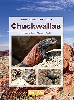 Hardcover Chuckwallas: Lebensweise, Pflege, Zucht [German] Book
