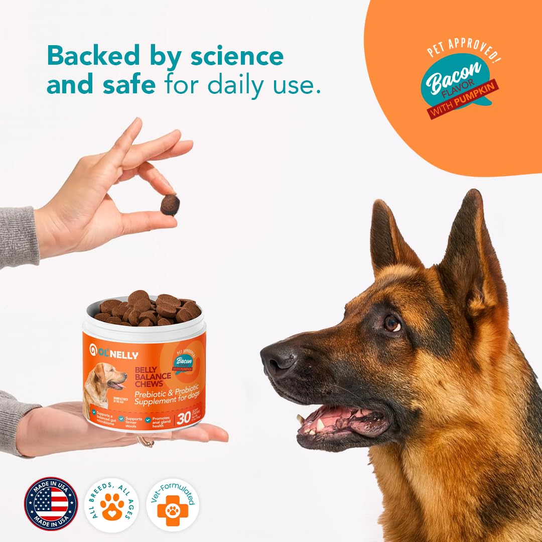 Dog Probiotic Chews – Pre & Probiotics for Dogs with Pumpkin-Digestive & Gut Health Support, Helps with Diarrhea, Gas & Constipation, Bacon Flavor, 30 Soft Chews – Ol'Nelly - image 4