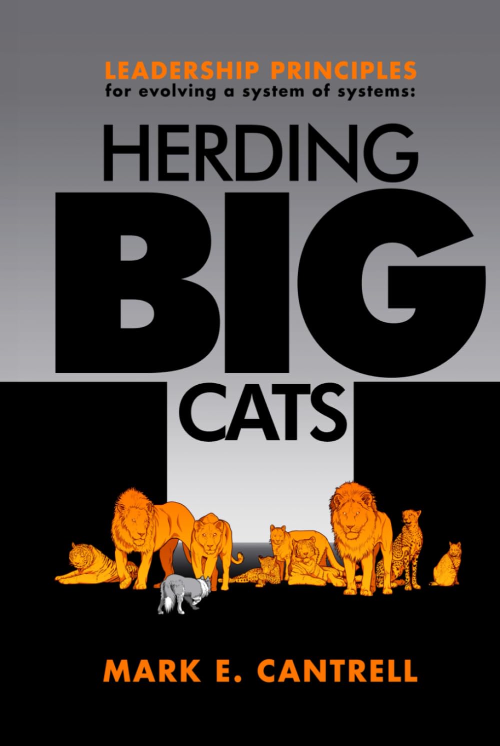 Herding BIG Cats: Leadership Principles for Evolving a Systems of Systems