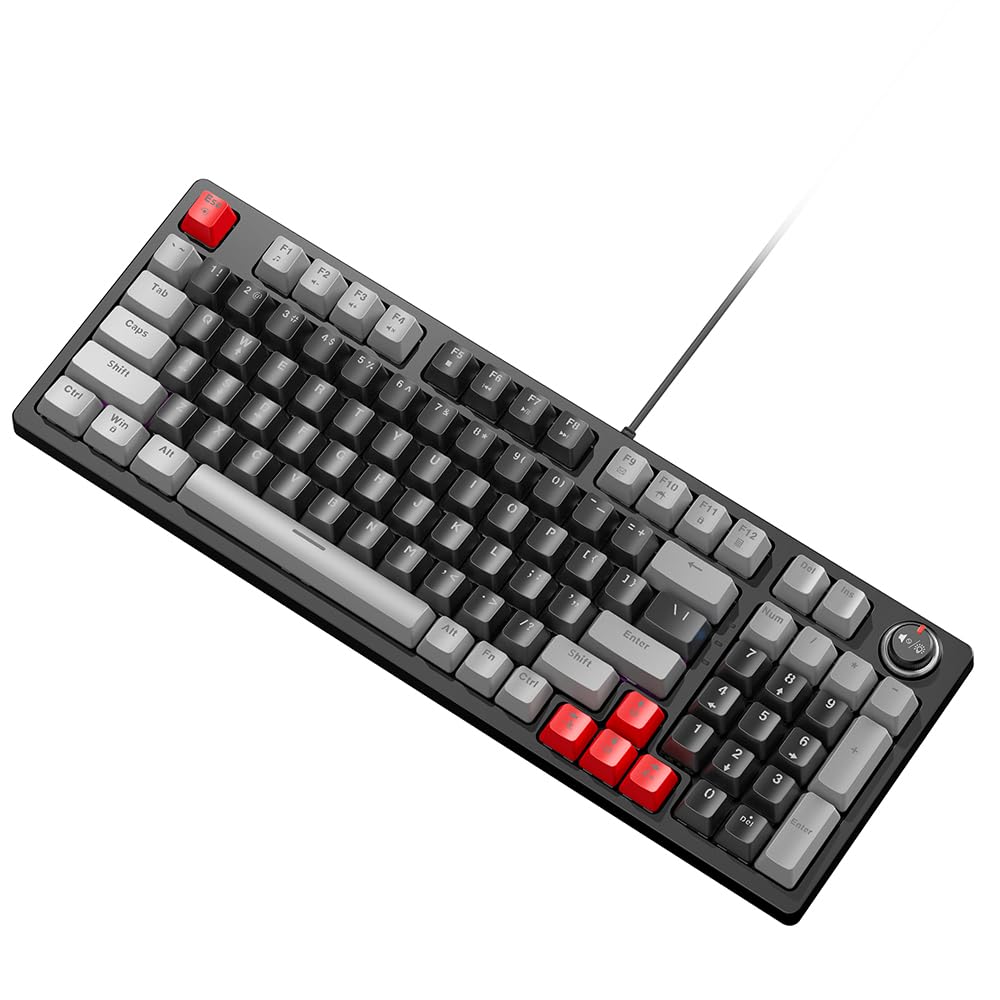 Irovami T50 Mechanical Keyd 96+1 Keys Wired Gaming Keyd ABS Dual Color Molding Keycap Blue es Compact Design Various RGB Backlit 12 Lighting Modes for Windows XP/7/8/10/VISTA