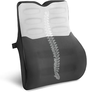 Cojin Lumbar Coche, Cojin Lumbar Silla Oficina con Esponja Memoria, Respaldo Lumbar Ergonómico, Almohada Lumbar para Asientos de Coche, Silla de Oficina, Gris