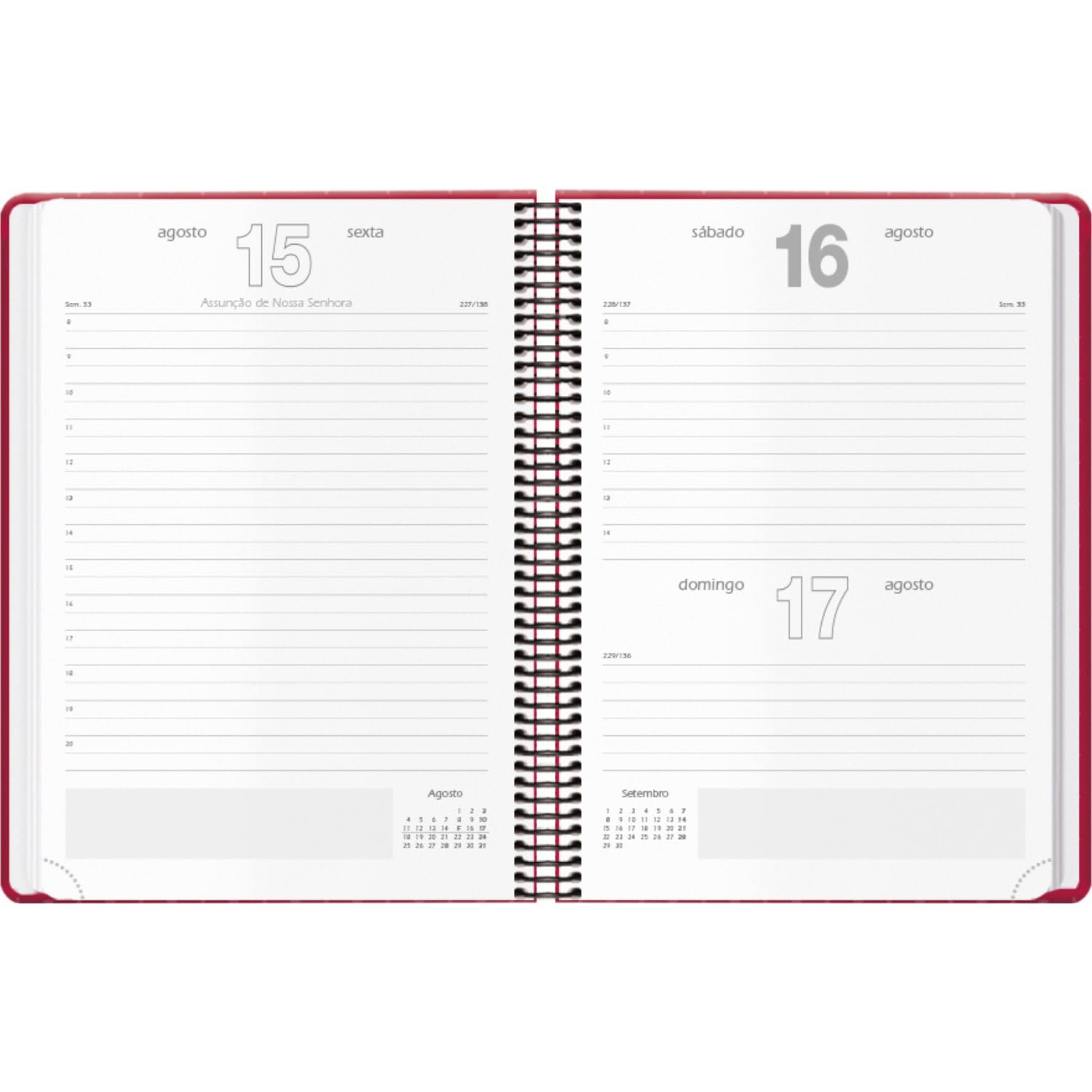 Dohe, 2025 Diary in Portuguese, Day per Page, A5 Size (14x20 cm), 12 Months January to December, Ring Binding, Annual Planner - Image 2