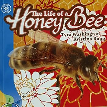 Paperback Life of a Honey Bee Book