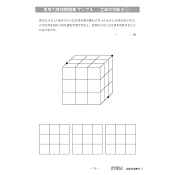 思考力育成問題集39立体の切断B① (ピグマリオン|PYGLIシリーズ