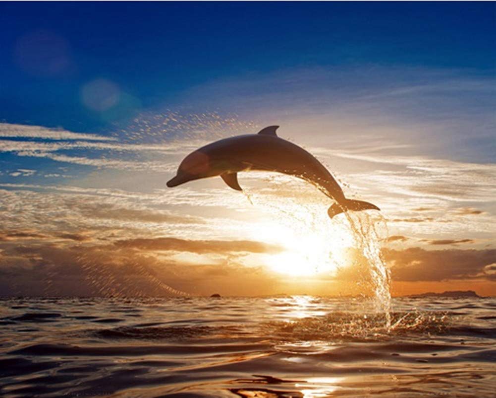 Yeesam Art Dolphin Paint By Numbers For Adults Beginners Sunset Seascape 16X20 Inch Linen Canvas Acrylic Diy Number Painting Kits Wall Art Decor Gifts