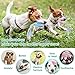 Cobee Welpenzahnspielzeug,4 Pcs Welpenspielzeug mit interaktiven Baumwollseilen zum Zahnen Kleiner Hunde,Gummi Welpenkauspielzeug,kleines Hundespielzeug für Hunde,beruhigt juckende Welpenkauspielzeug