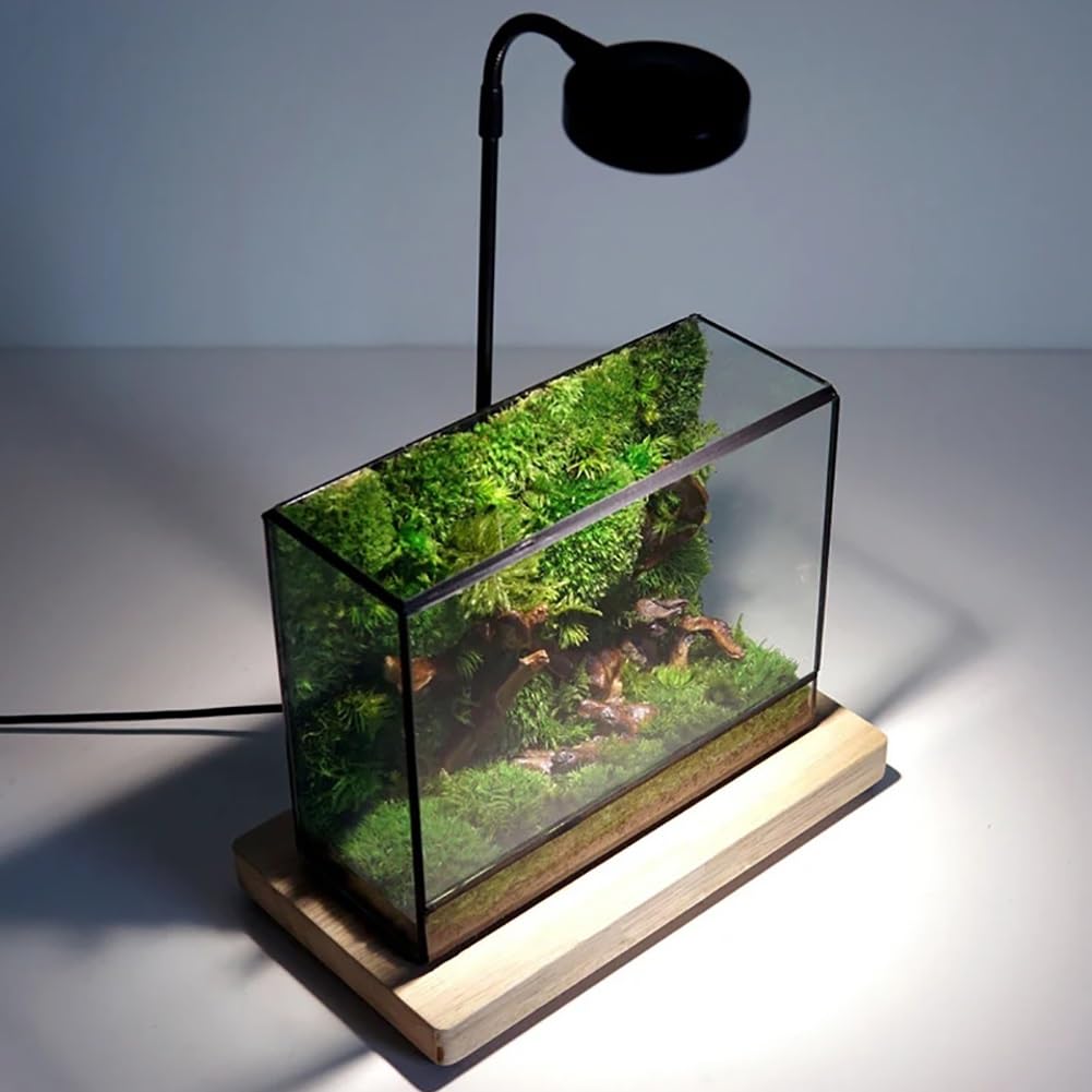 AVCULT Terrario Geométrico Hecho A Mano, Geométrico Maceta Hecha A Mano,Maceta Moderna De Cactus Suculentos, Decoración De Jardín para El Hogar Regalo (Solo Terario) (Color : 19.5 * 8 * 14.5 CM)