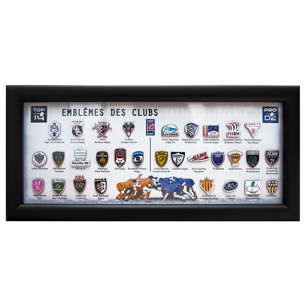 pin's lapel pins RUGBY XV FRANCE vintage (bcp à venir ) Rugby