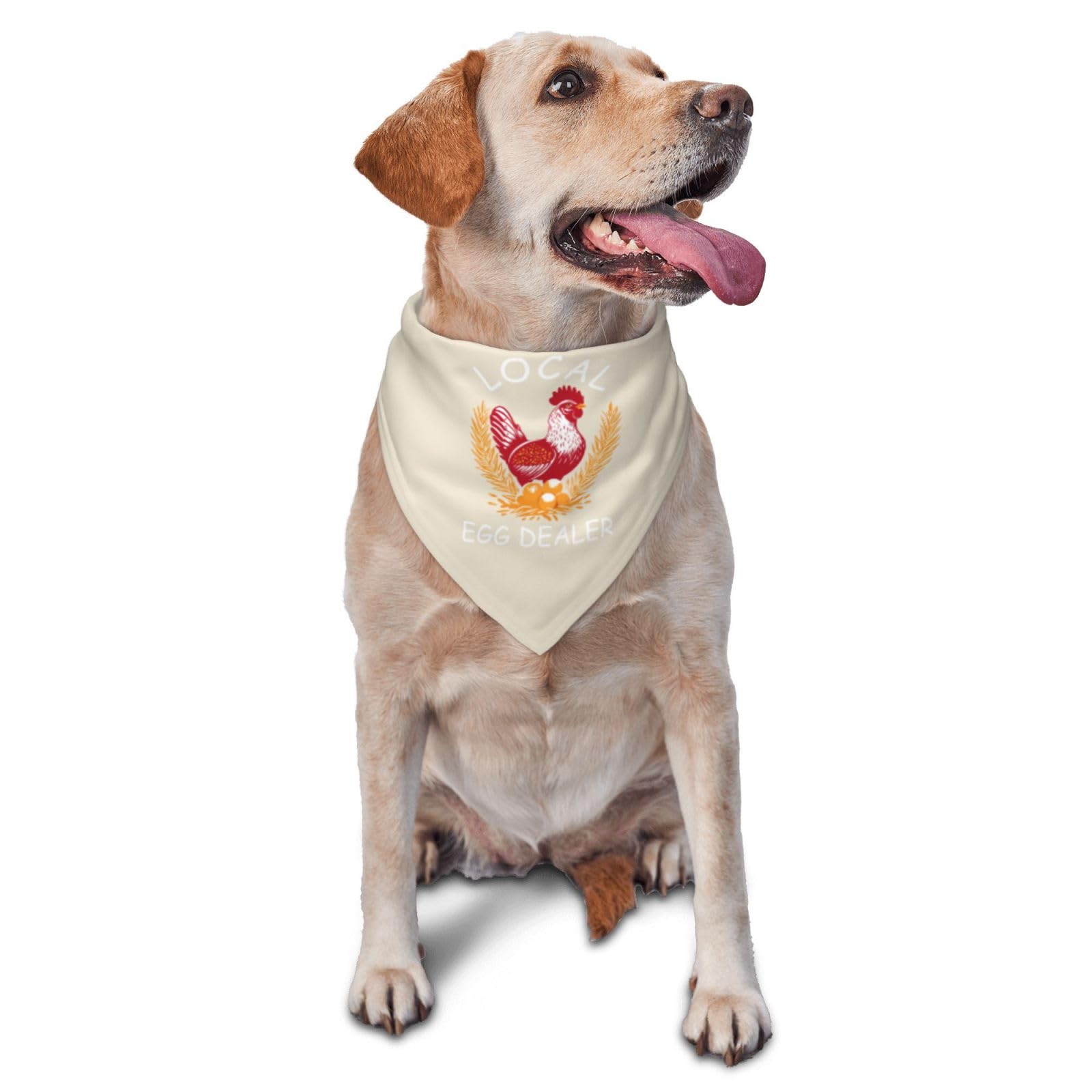 Local Egg Dealer Dog Scarf Pet Bandana Cat Pet Bibs