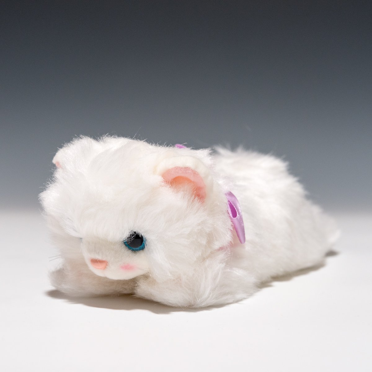 Amazon.co.jp: たけのこ リボンネコ ペルシャネコ ぬいぐるみ 15784