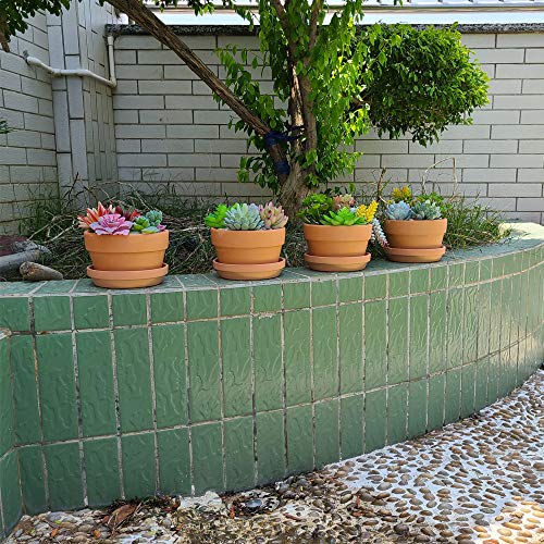 Yishang 6 Inch Terracotta Shallow Planters With Saucer/Tray,Ceramic Flower Clay Plant Pots With Drainage Hole,Unglazed Cactus/Succlent Plant Containers Indoor Garden Bonsai Pots #TOP3