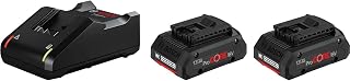 18V System Cordless 2x ProCORE18V 4.0Ah Batteries + GAL 18V-40 Charger