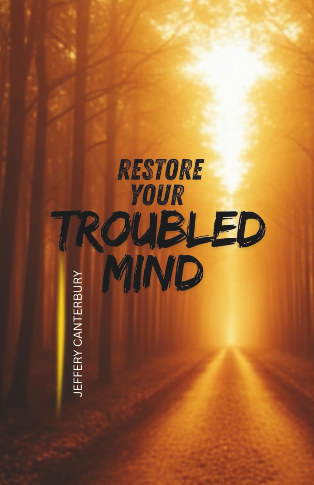 Restore Your Troubled Mind: Practical Hope for Anxiety, Depression, and Emotional Exhaustion