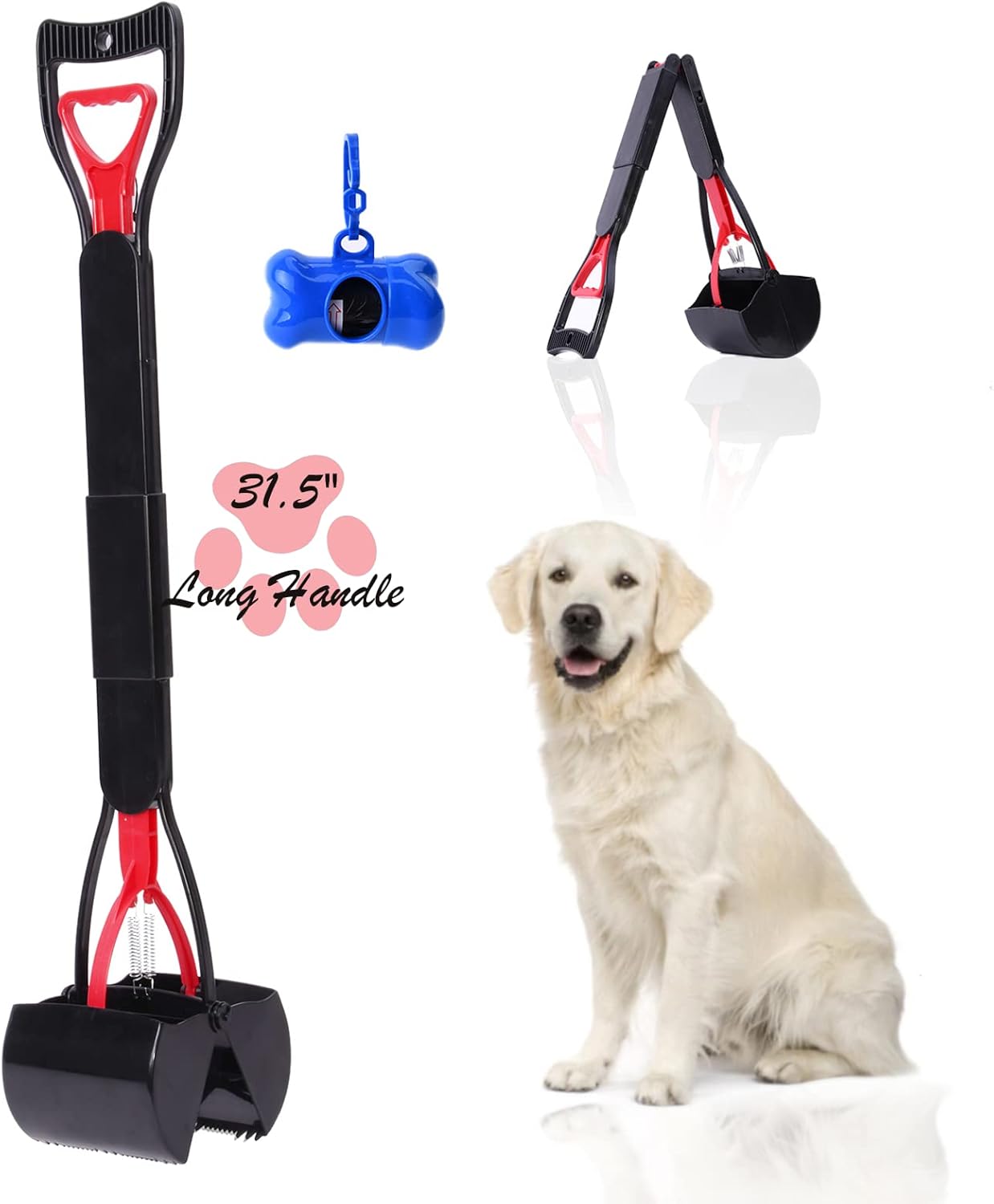 How To Clean Dog Poop From Concrete