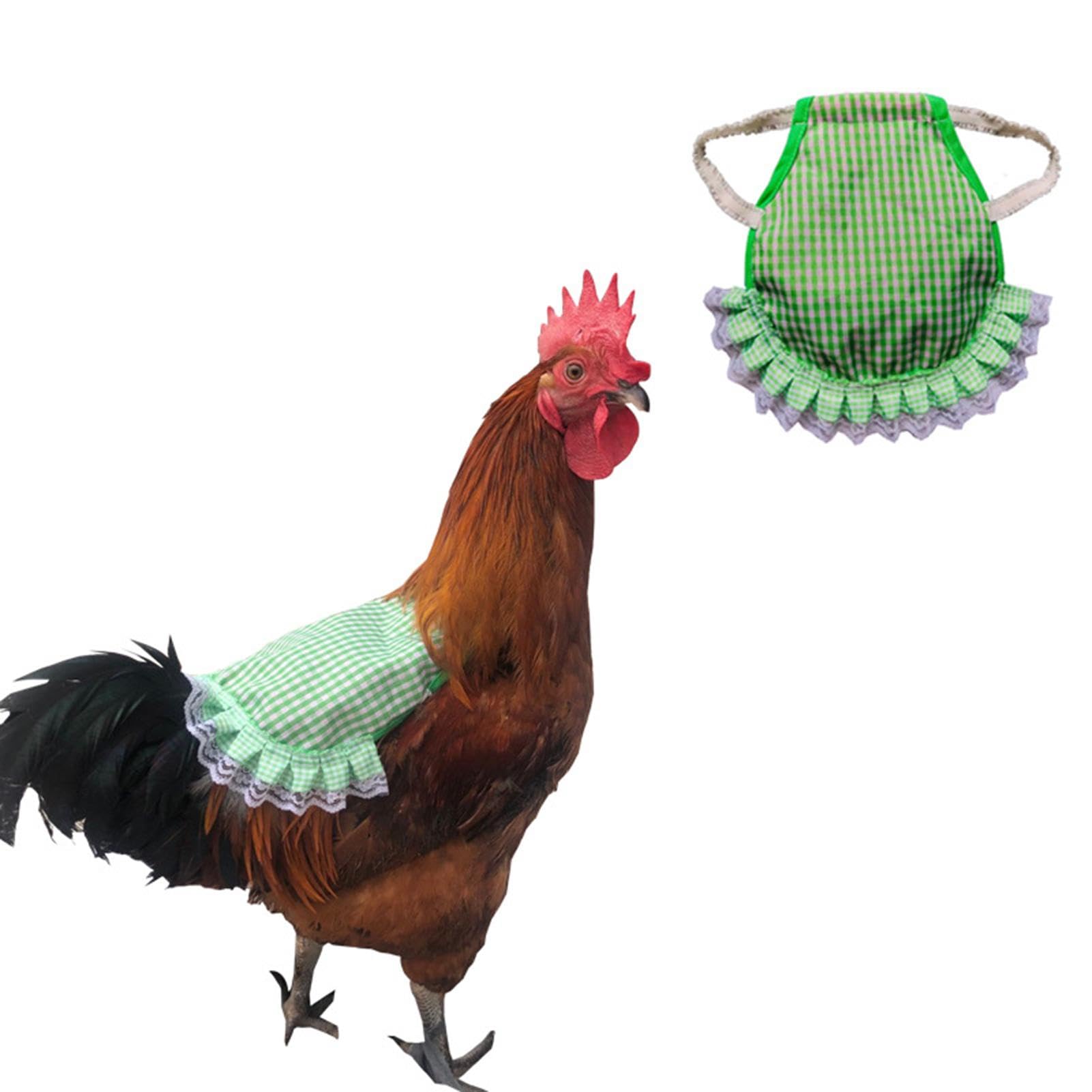 Selle De Protection Pour Poules - Anti-Picage, Élastique, Taille M/L - Rouge Ou Vert