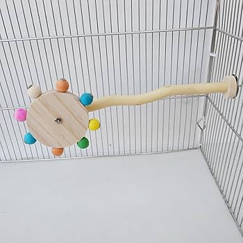 小型鳥用木製スタンド おやつボール付き*6 小型鳥用木製スタンド おやつボール付き*6 Amazon | インコ おもちゃ鳥