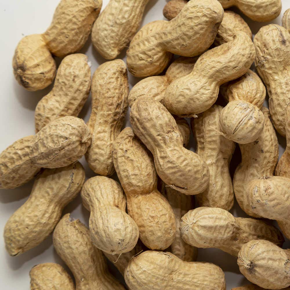 Il Contadino - Antichi Sapori | ARACHIDI SUPERGIANT | Confezione Salva Freschezza, Tostatura Frequente, Frutta Secca di Qualità Premium, No Conservanti (2 Kg)