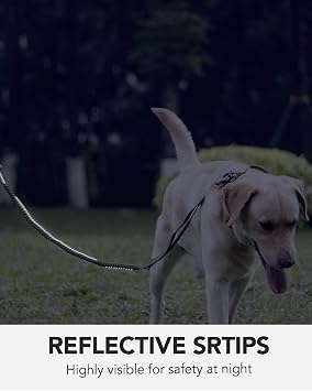Joytale Tactical Dog Collar(20-24) and Dog Leash Set, Adjustable Strong Dog Collar with Handle and Shock Absorbing Bungee Dog Leash for Extra Large Dogs(ArmyGreen,XL)