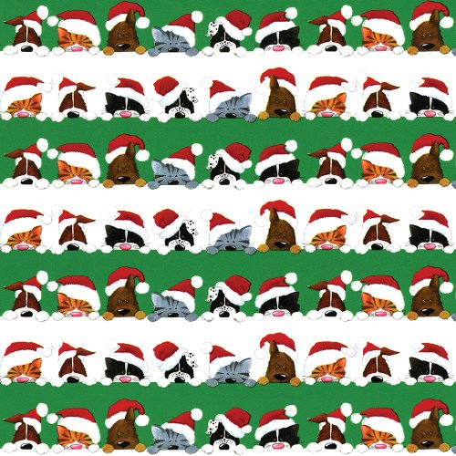 Caspari 9599RC Continuous Roll of Gift Wrapping Paper, Christmas Peek A Boo, 8-Feet, 1-Roll