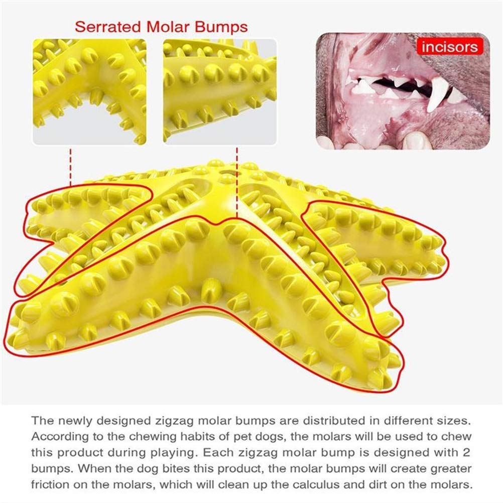 MU Starfish a Forma Di Animale Domestico Denti Denti Denti Ello Masticare Giocattolo Denti Denti Denti Rosicchianti Denti Puliti Osso Cane Denti Spazzolino da Denti da Masticare Gomma da Masticare Fo