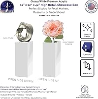 Vista 100 de Acrylic Display Riser Box Clear Plexiglass 12" x 12” x 19” No Lid Hollow Pedestal 5 Sided Display Trinkets Flowers Dust Cover Bin Collectible Items