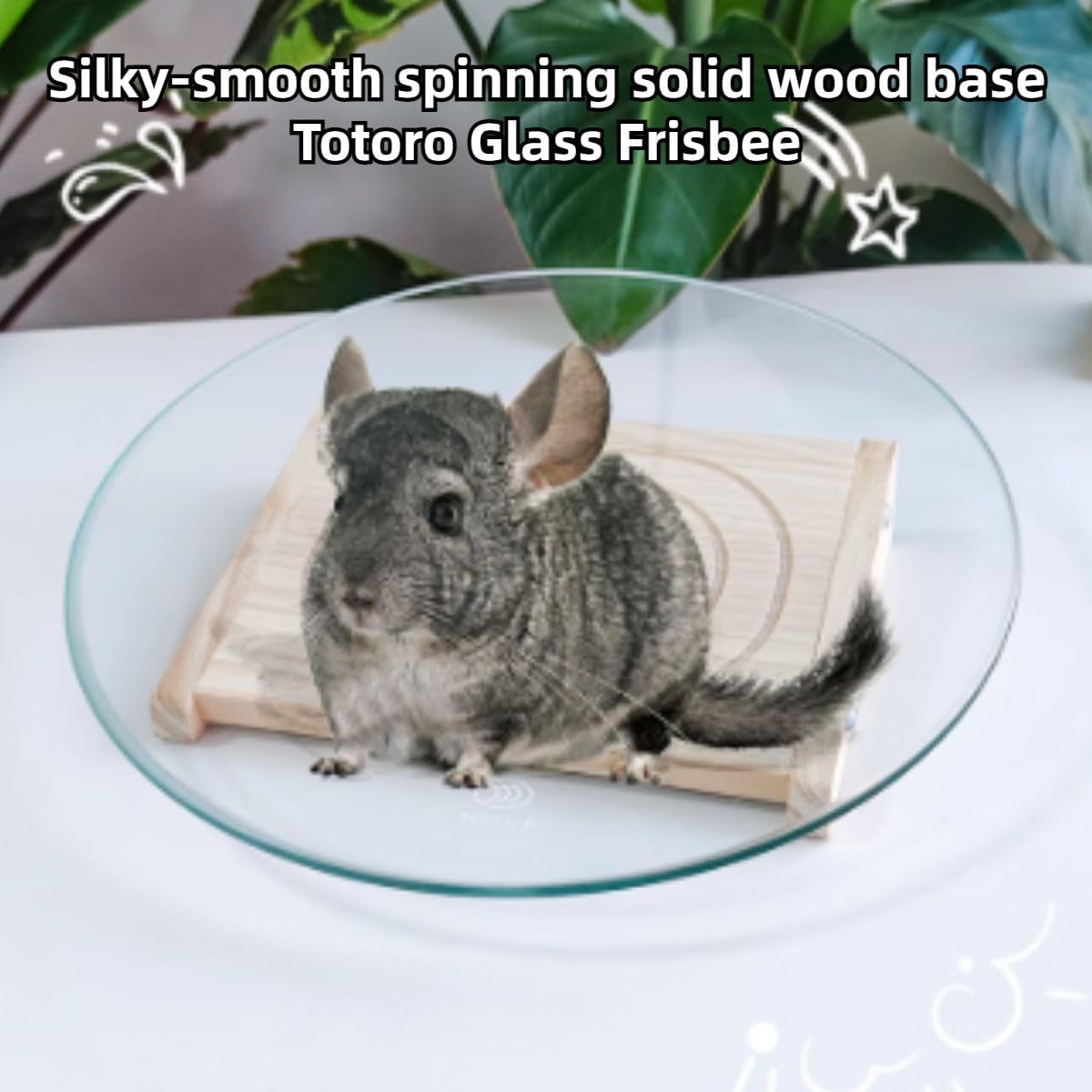 Chinchilla Toys, Glass Running Turntable Toy with Wooden Base for Small Pet, Rat Enrichment Toys, Running Wheel for Chinchilla, Rat, Gerbil, and Other Small Animals