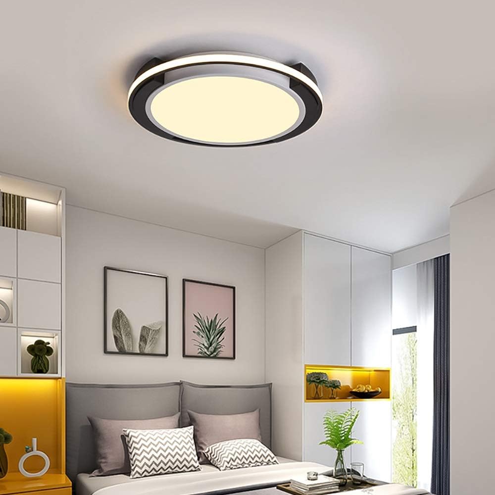 Modern Minimalist Bedroom Ceiling Lamp Creative Personality Art Study Lamp Living Room Lamp Bedroom Lamp Adjustable Lighting/48 * 6Cm