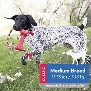   KONG-Goodie-Bone-with-Rope-Classic-Durable-Natural-Rubber-Dog-Bone-Supports-Mental-Engagement-Treat-Dispensing-Red-for-Medium-Dogs