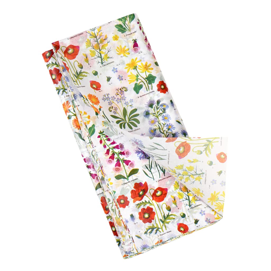 Rex London Blanc Silk Paper Wild Flowers (X10)
