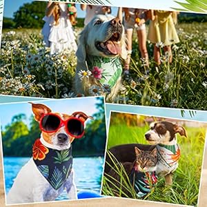 50-Pcs-Summer-Bandana-for-Dog-Hawaiian-Dog-Triangle-Scarf-Floral-Dog-Bandana-Bulk-Seasonal-PET-Costume-Adjustable-Dog-Cat-Summer-Outfit-Cute-Washable-Bibs-Kerchief-for-Small-to-Medium-Pets - Cucciolini Doodles   50-Pcs-Summer-Bandana-for-Dog-Hawaiian-Dog-Triangle-Scarf-Floral-Dog-Bandana-Bulk-Seasonal-PET-Costume-Adjustable-Dog-Cat-Summer-Outfit-Cute-Washable-Bibs-Kerchief-for-Small-to-Medium-Pets