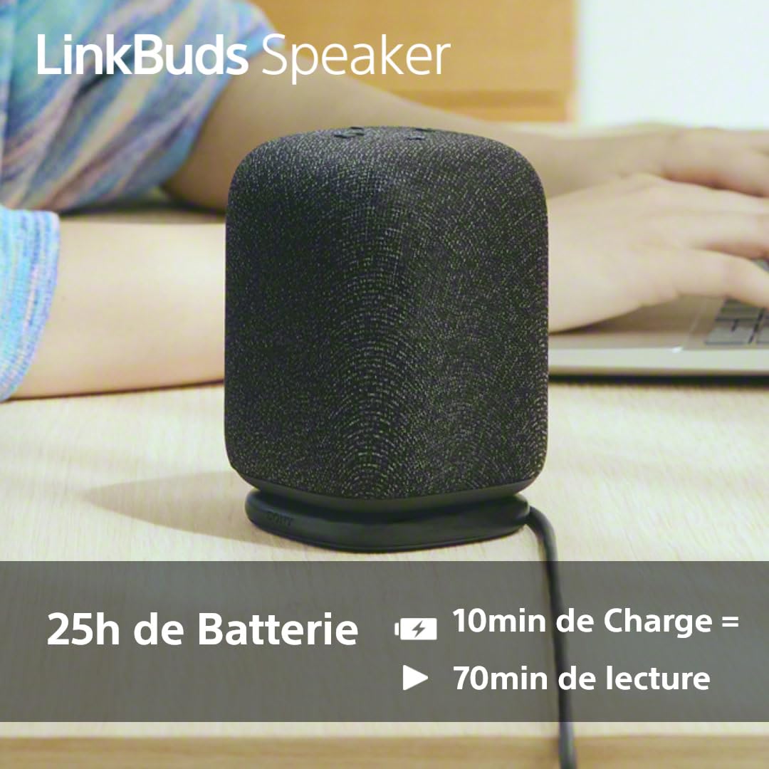 Sony Enceinte LinkBuds - Enceinte Portable sans Fil Bluetooth, IPX4, Résistante à l'eau, Batterie de 25 Heures, Qualité d'Appel Clair, Outdoor, Voyage - Noir