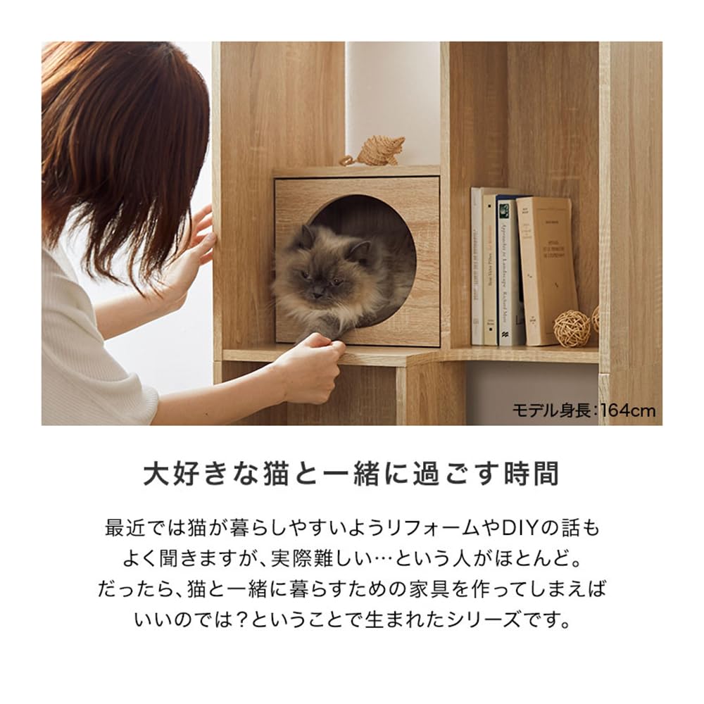 置物 catwalk Amazon.co.jp: Catwalk, Cat Step Wall, Cat Shelf and Perch