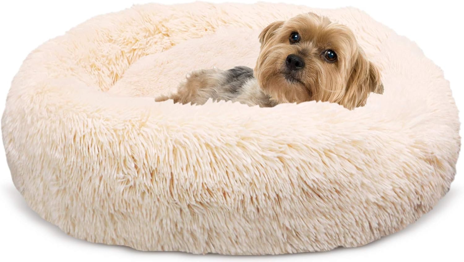 comodo letto per cane