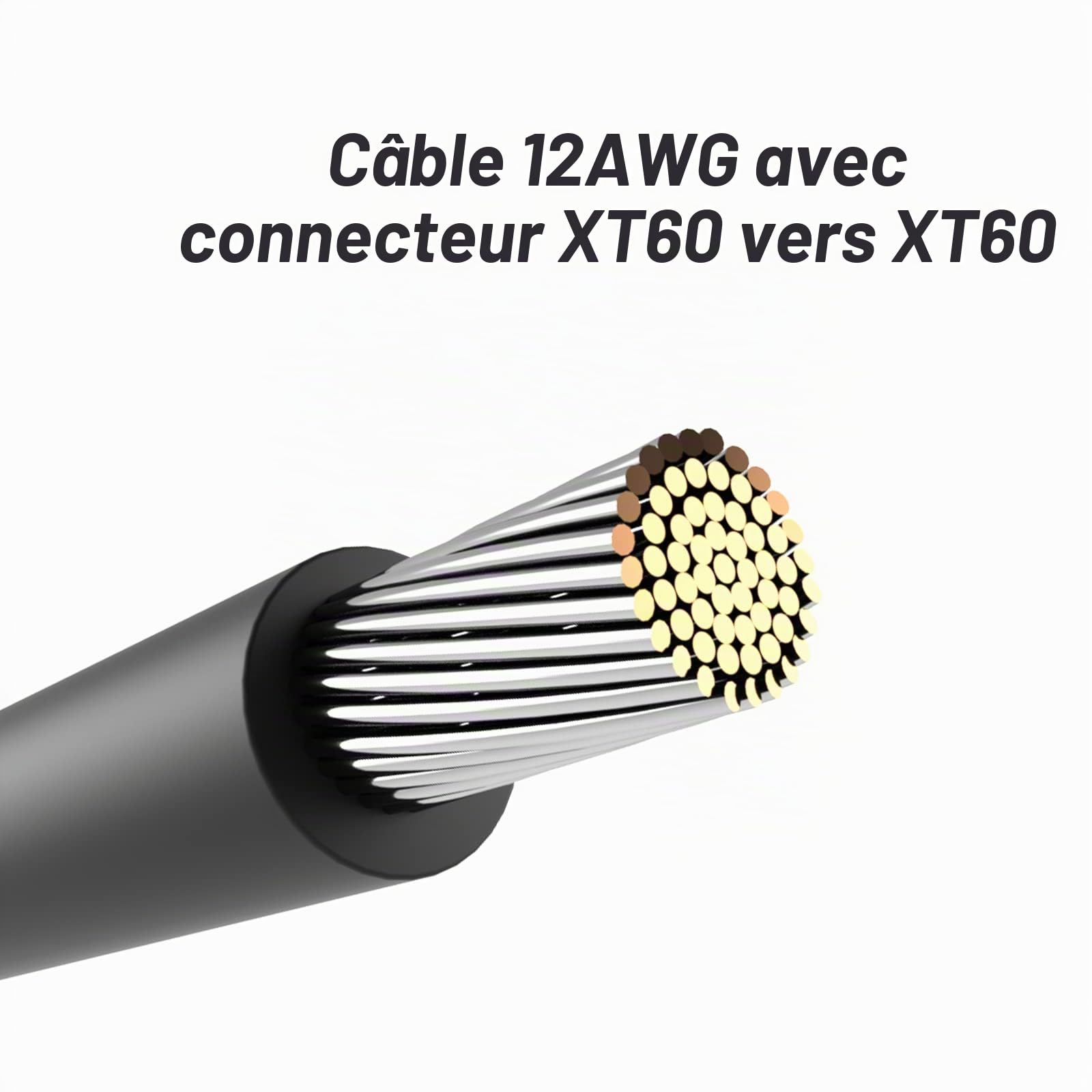 Câble de rallonge XT60 mâle vers femelle 12 AWG 3 m pour batterie RC, pack de batterie, générateur solaire, station d'alimentation portable et panneau solaire