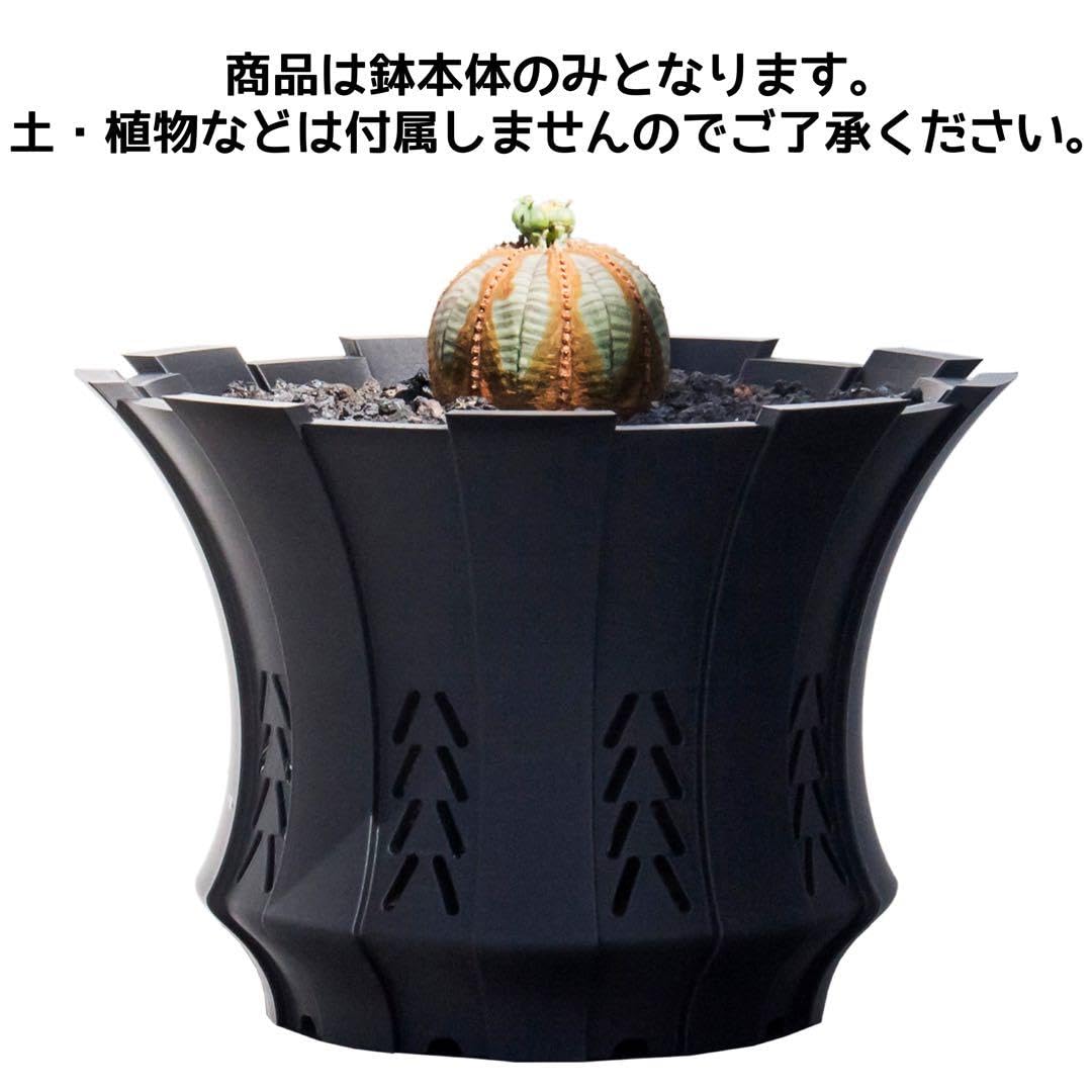 Amazon.co.jp: 植木鉢 3Dプリンター鉢 3号サイズ 浅鉢 塊根 多肉