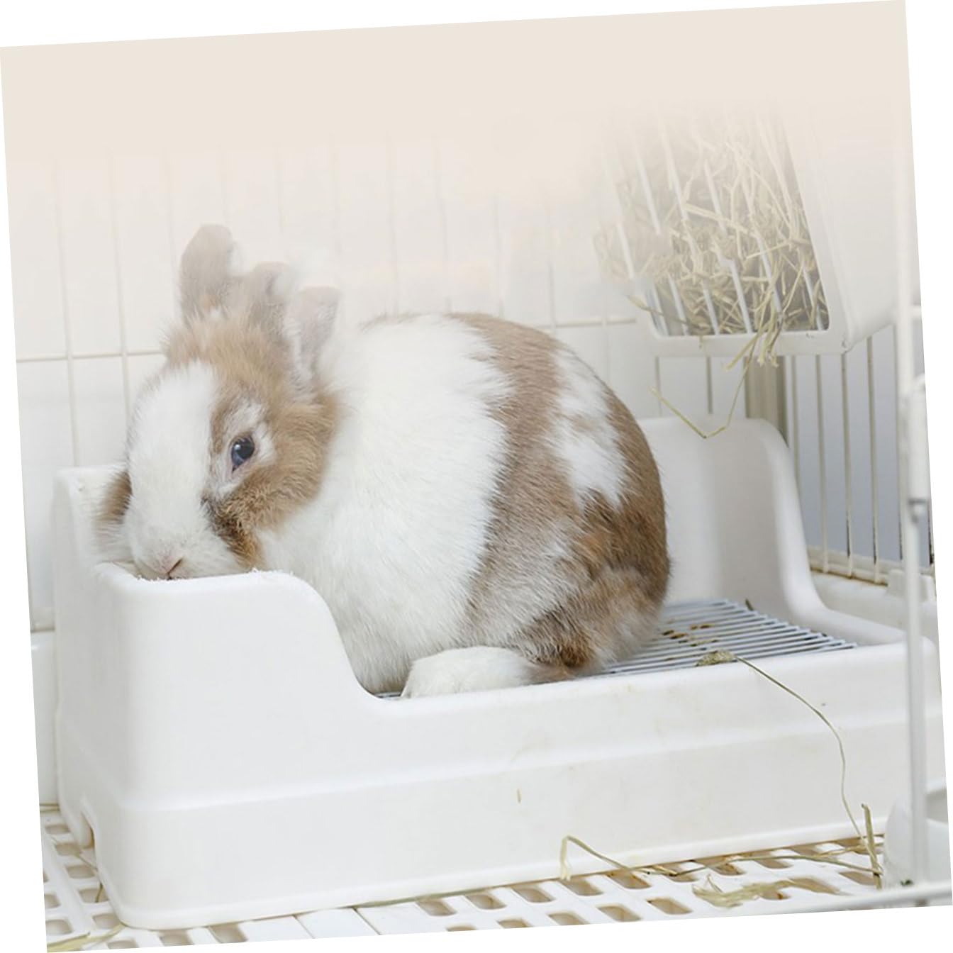Lettiera per Conigli in Plastica Bianco Parti Separate, Facile da Pulire, Vasino Trainer per Animali Domestici in Gabbia Antiribaltamento