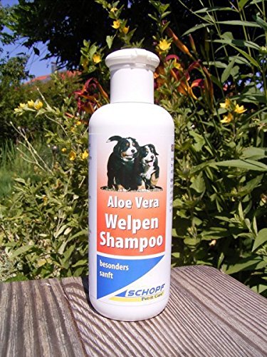schopf 310068 hundewelpen Champú suave Cuidado con aloe vera, 250 ml