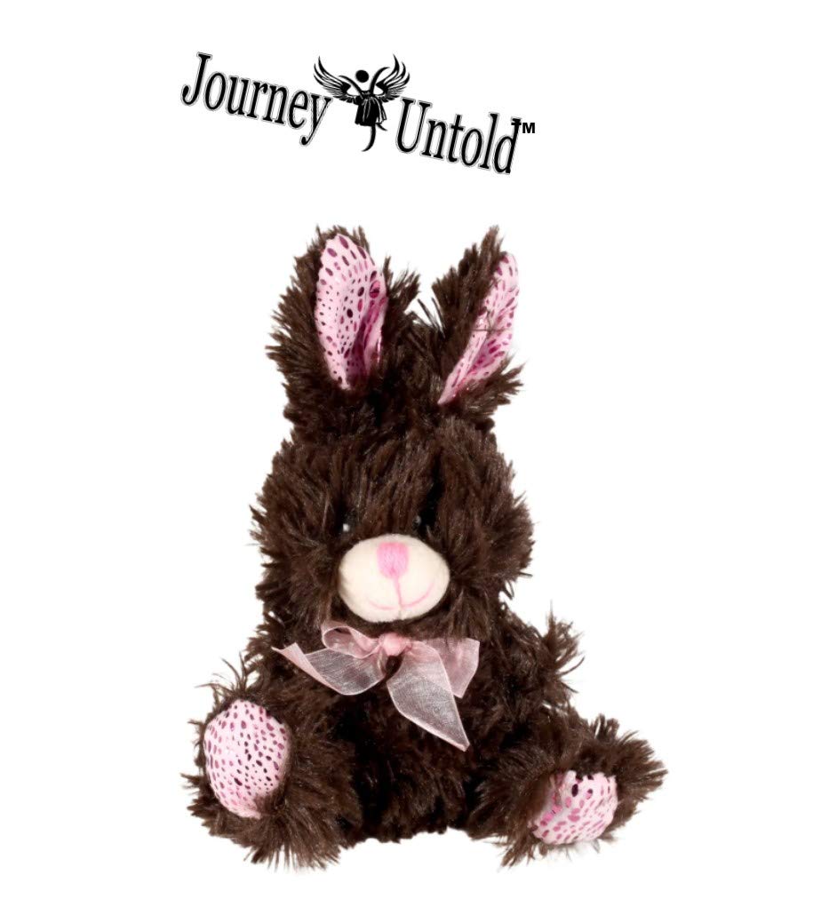 BCL Happy Easter Baskets (Bonus ROZALYN Clip) Kids Girls Boys Girl Toddlers Gift Egg Toddler Gifts Themed Decorations Toys Stuffers Brown Scented Bear