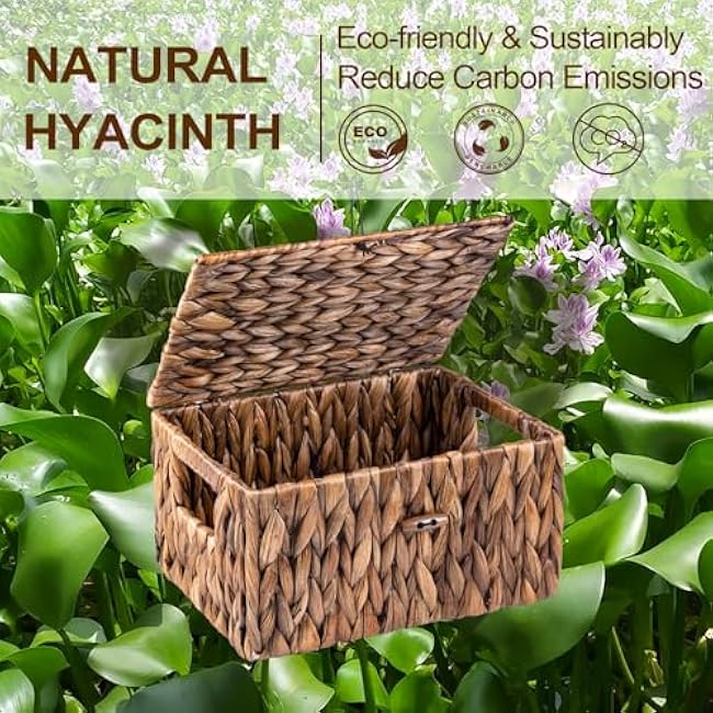 FairyHaus Brown Wicker Storage Basket with Lid & Handle 2Pack, Natural Water Hyacinth Basket for Organizing, 13x10x7& 11.2x8.3x5.7 (L+M)