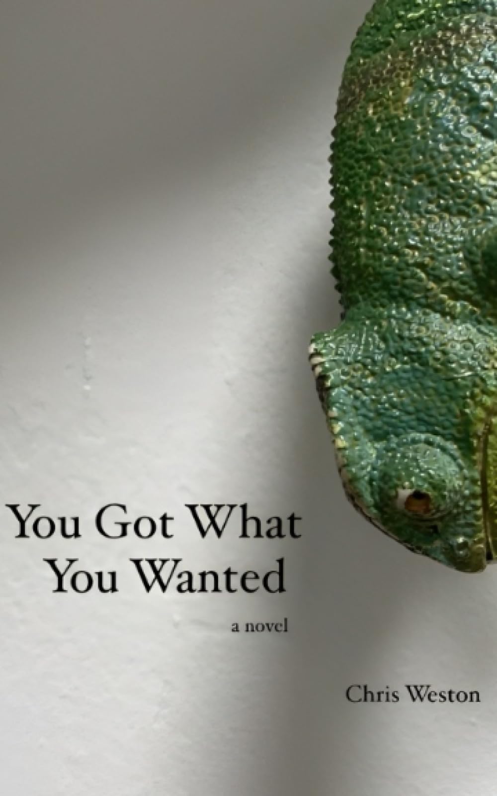 You Got What You Wanted: a novel