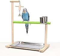 Acsist Natural Wood Bird Playground Parrot Playstand Gym with Feeder Cups & Removable Tray for Parakeets Cockatiels Lovebirds