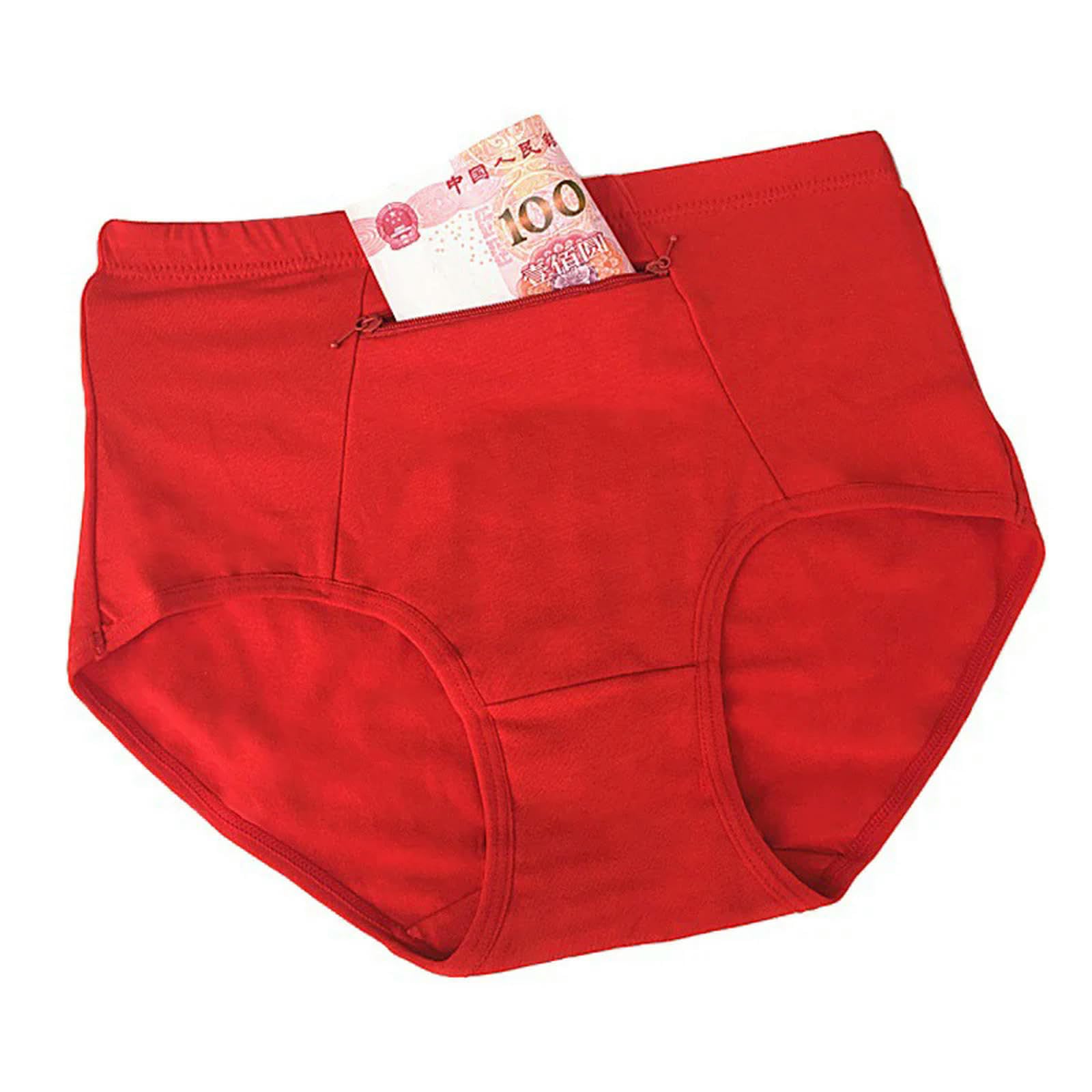 Slip Donna Cotone 3 Pezzi di Mutandine Femminili con Cerniera, Biancheria Intima di Cotone di Grandi Dimensioni con Tasca Innovativa -e-l-3pc